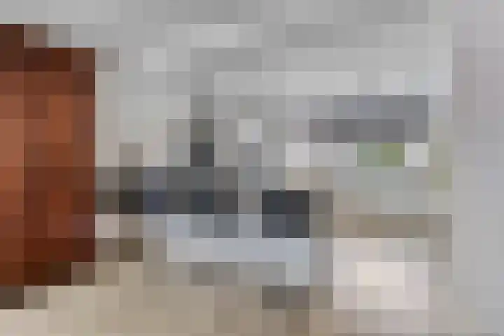 Hoge Zijde 74 Bavel foto 3