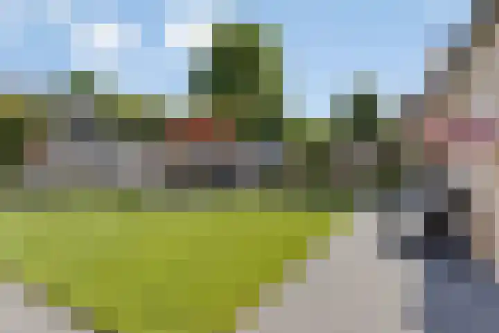 Hoge Zijde 74 Bavel thumbnail 30