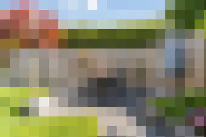 Hoge Zijde 74 Bavel thumbnail 32
