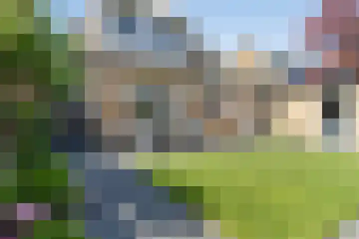 Hoge Zijde 74 Bavel thumbnail 33