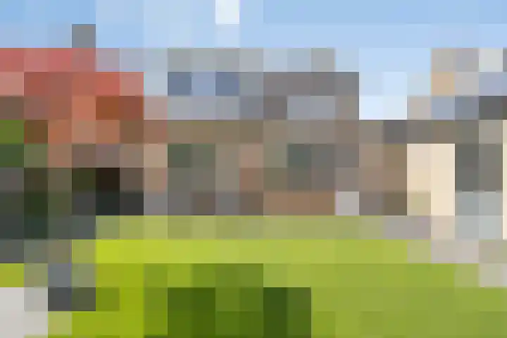 Hoge Zijde 74 Bavel thumbnail 35