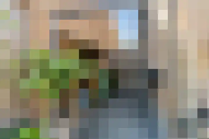 Hoge Zijde 74 Bavel thumbnail 37