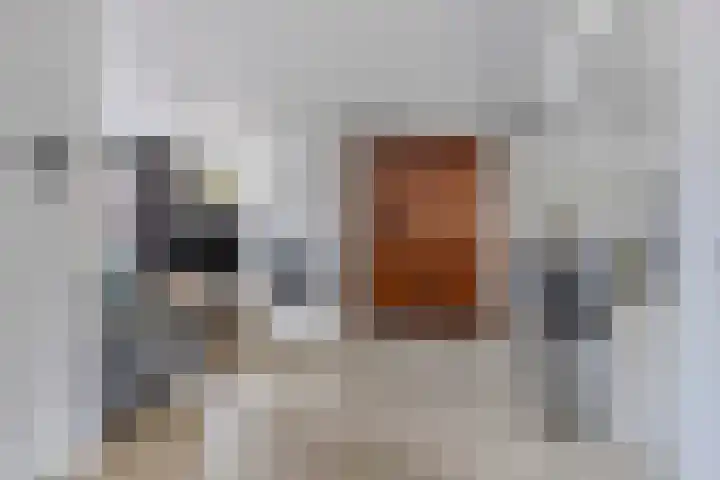 Hoge Zijde 74 Bavel thumbnail 8