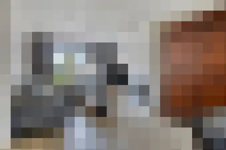 Hoge Zijde 74 Bavel thumbnail 9