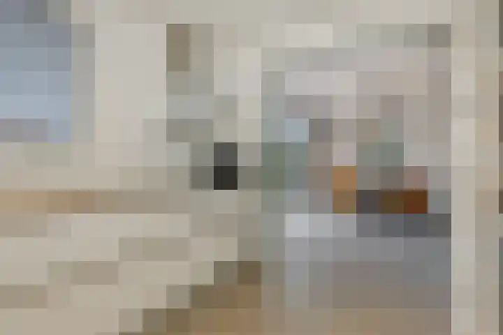 Hoge Zijdeweg 22 Vlierden thumbnail 10