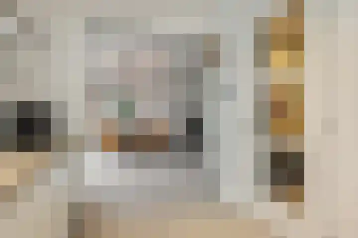 Hoge Zijdeweg 22 Vlierden thumbnail 11