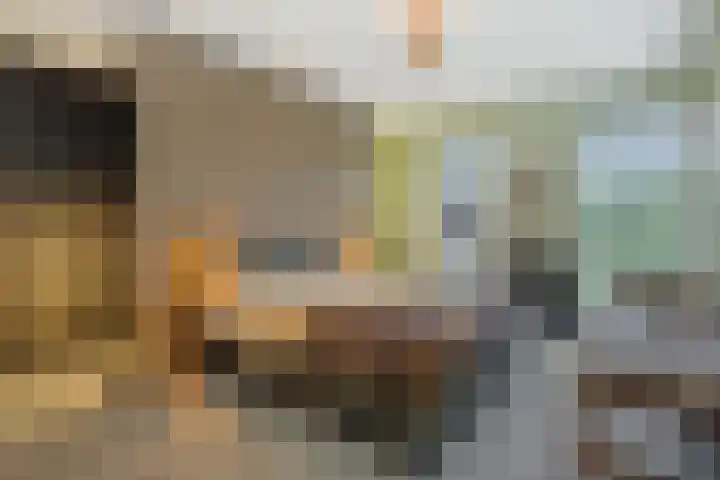 Hoge Zijdeweg 22 Vlierden thumbnail 17