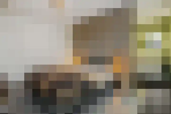 Hoge Zijdeweg 22 Vlierden thumbnail 19