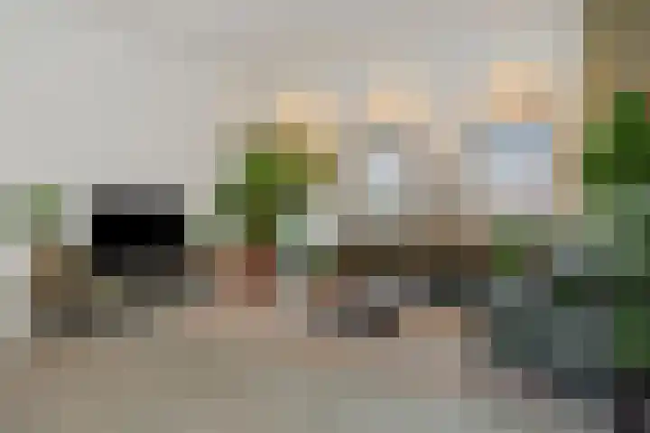 Hoge Zijdeweg 22 Vlierden foto 2