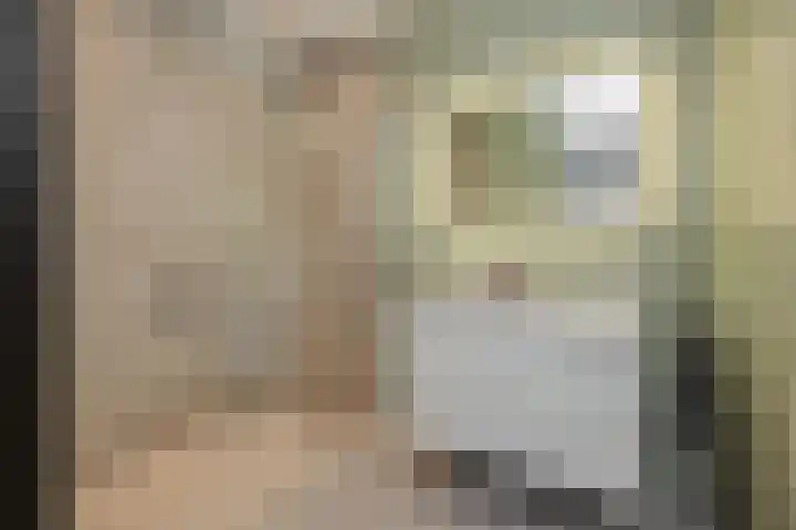 Hoge Zijdeweg 22 Vlierden thumbnail 20