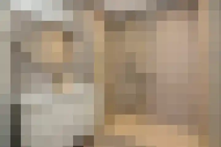 Hoge Zijdeweg 22 Vlierden thumbnail 22