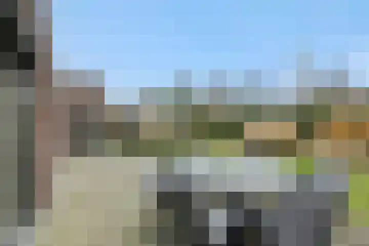 Hoge Zijdeweg 22 Vlierden thumbnail 26