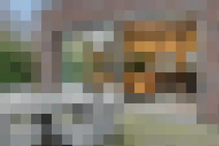 Hoge Zijdeweg 22 Vlierden thumbnail 27