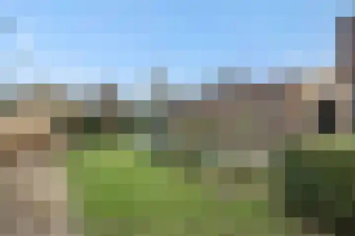 Hoge Zijdeweg 22 Vlierden thumbnail 28
