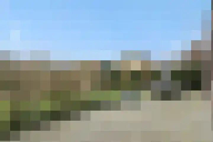 Hoge Zijdeweg 22 Vlierden thumbnail 29