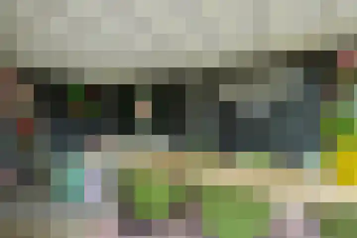 Hoge Zijdeweg 22 Vlierden thumbnail 33