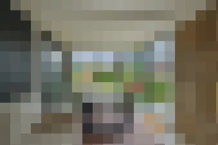 Hoge Zijdeweg 22 Vlierden thumbnail 34