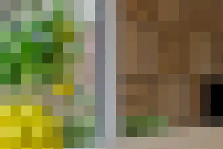 Hoge Zijdeweg 22 Vlierden thumbnail 35