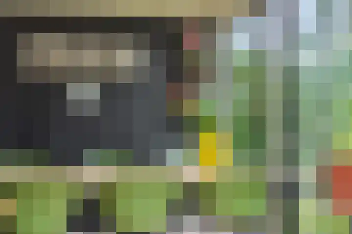 Hoge Zijdeweg 22 Vlierden thumbnail 36
