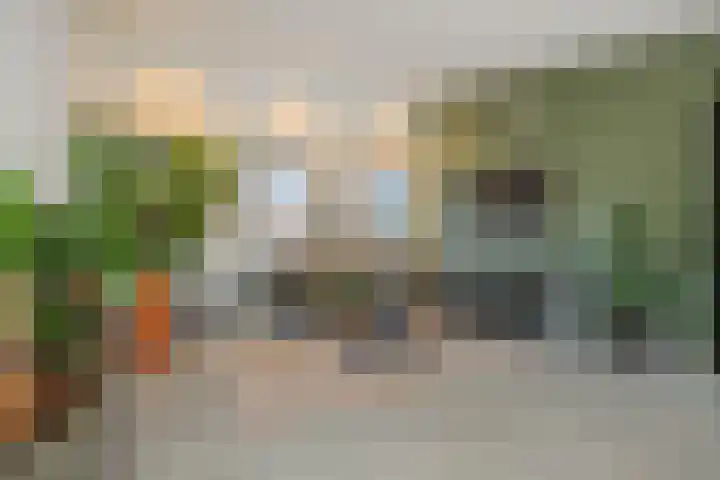 Hoge Zijdeweg 22 Vlierden thumbnail 4