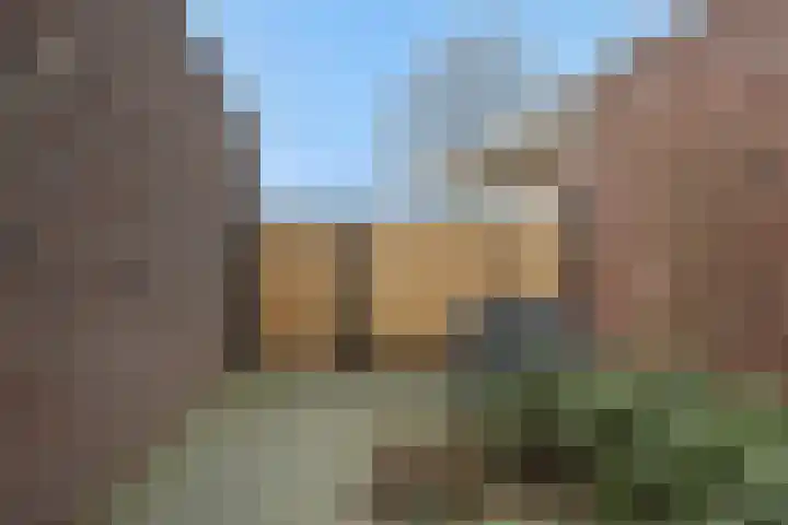 Hoge Zijdeweg 22 Vlierden thumbnail 40