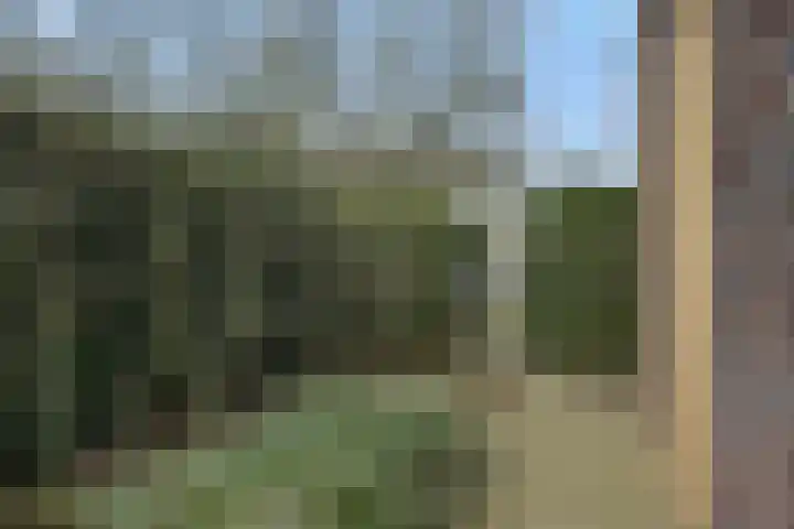 Hoge Zijdeweg 22 Vlierden thumbnail 43
