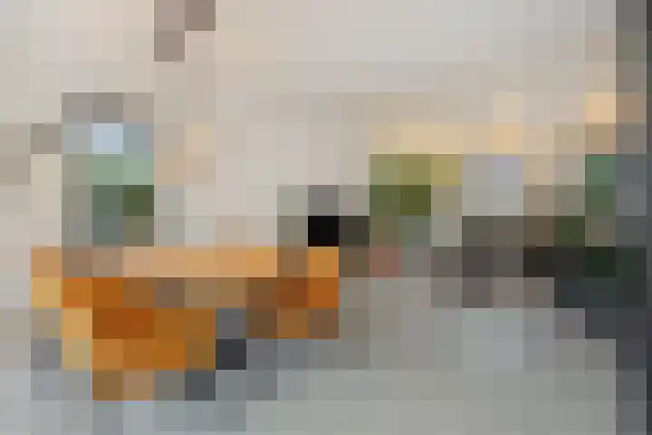 Hoge Zijdeweg 22 Vlierden thumbnail 6