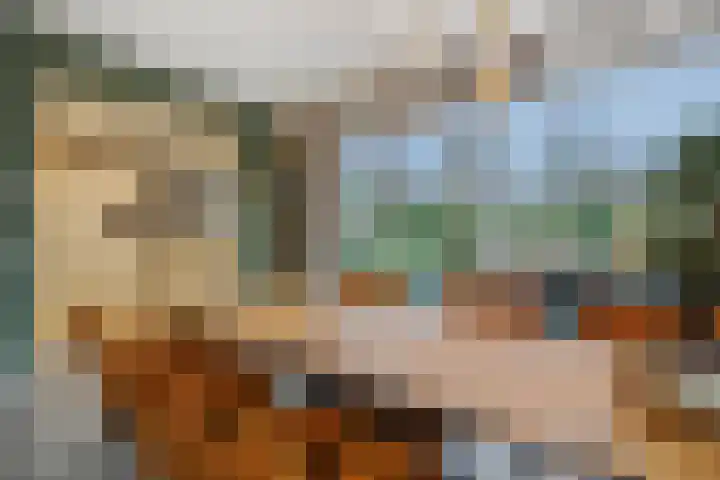 Hoge Zijdeweg 22 Vlierden thumbnail 8
