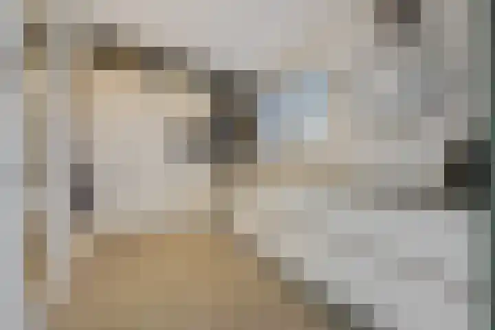 Hoge Zijdeweg 22 Vlierden thumbnail 9