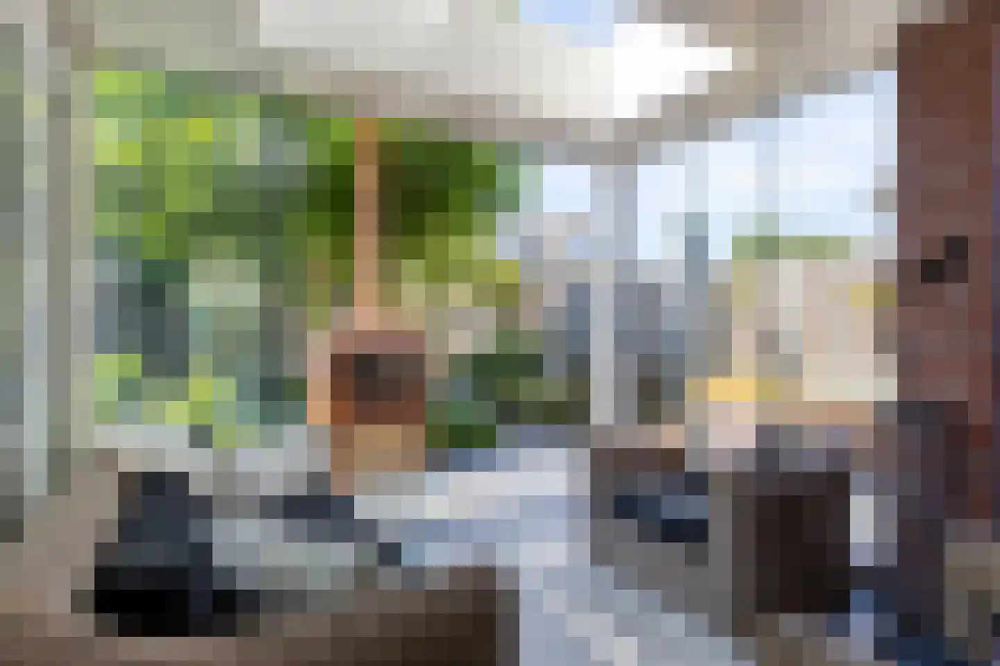 Hoge Zijdeweg 35 Vlierden thumbnail 23