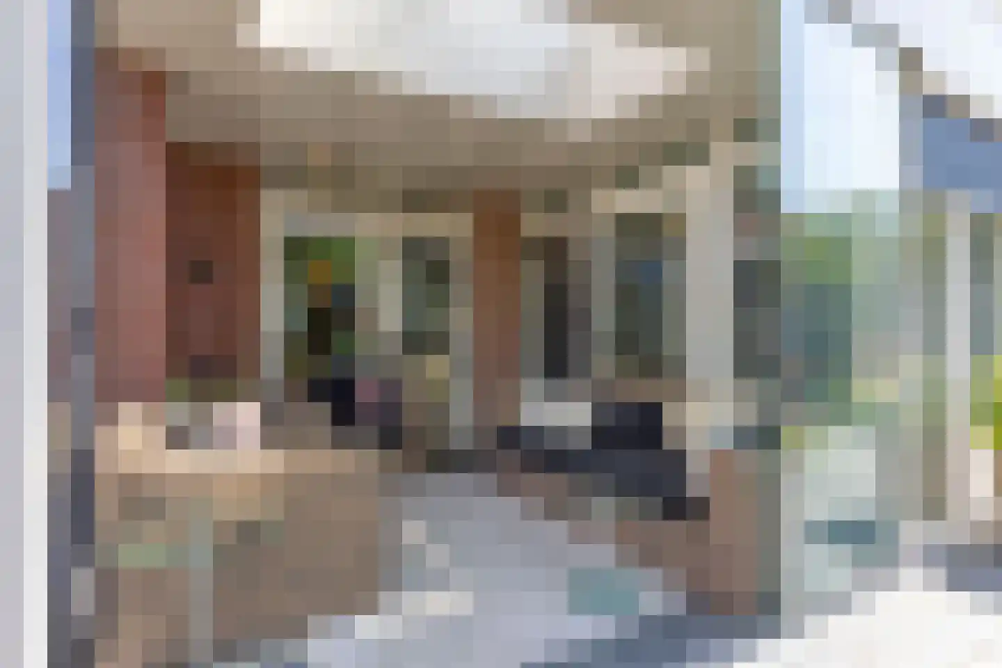 Hoge Zijdeweg 35 Vlierden thumbnail 24