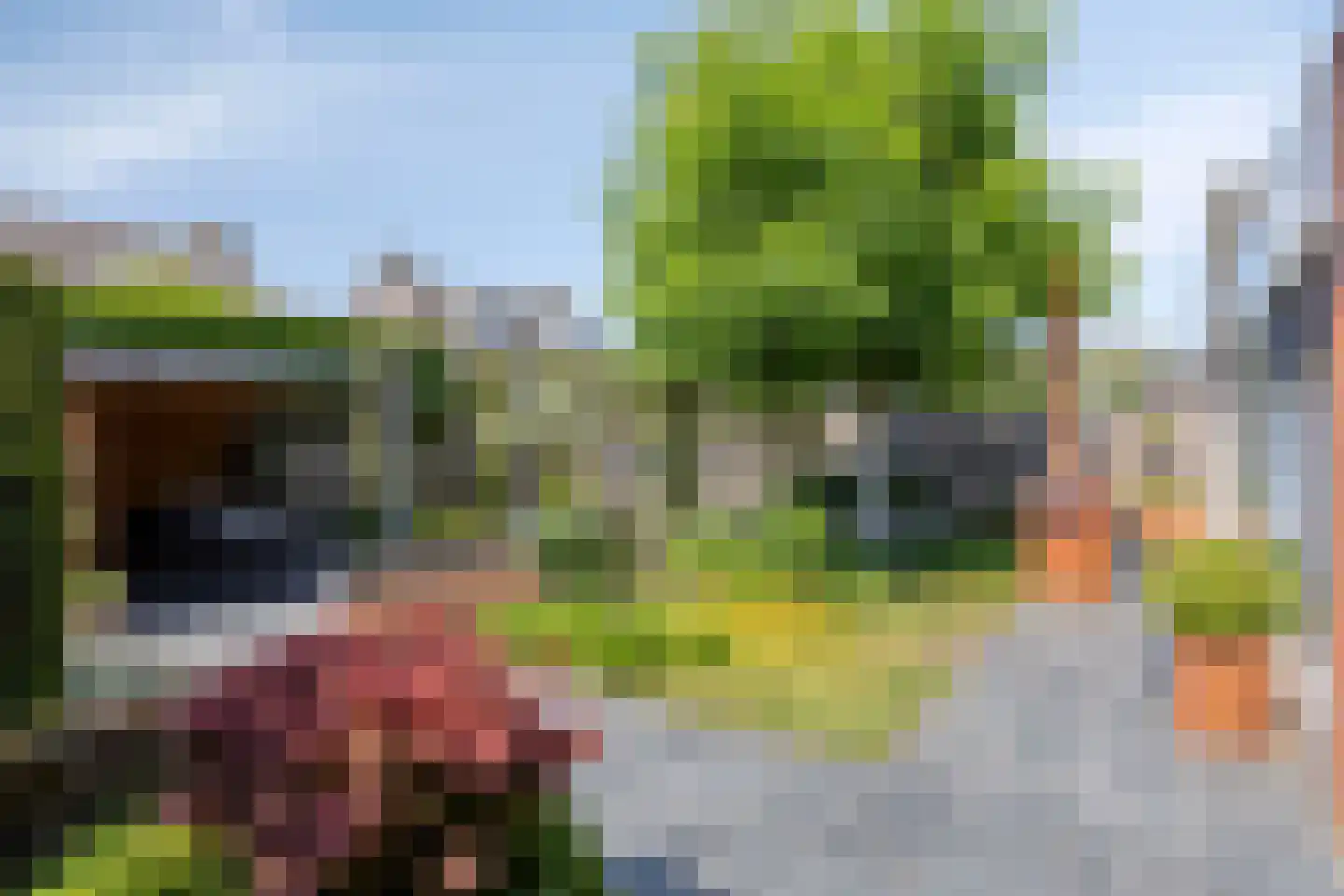 Hoge Zijdeweg 35 Vlierden thumbnail 4