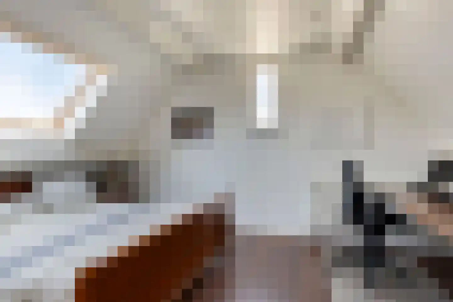 Hoge Zijdeweg 35 Vlierden thumbnail 44