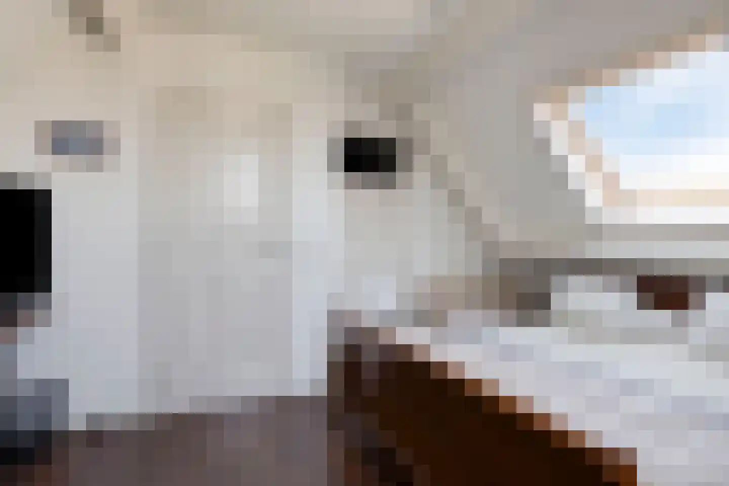 Hoge Zijdeweg 35 Vlierden thumbnail 45