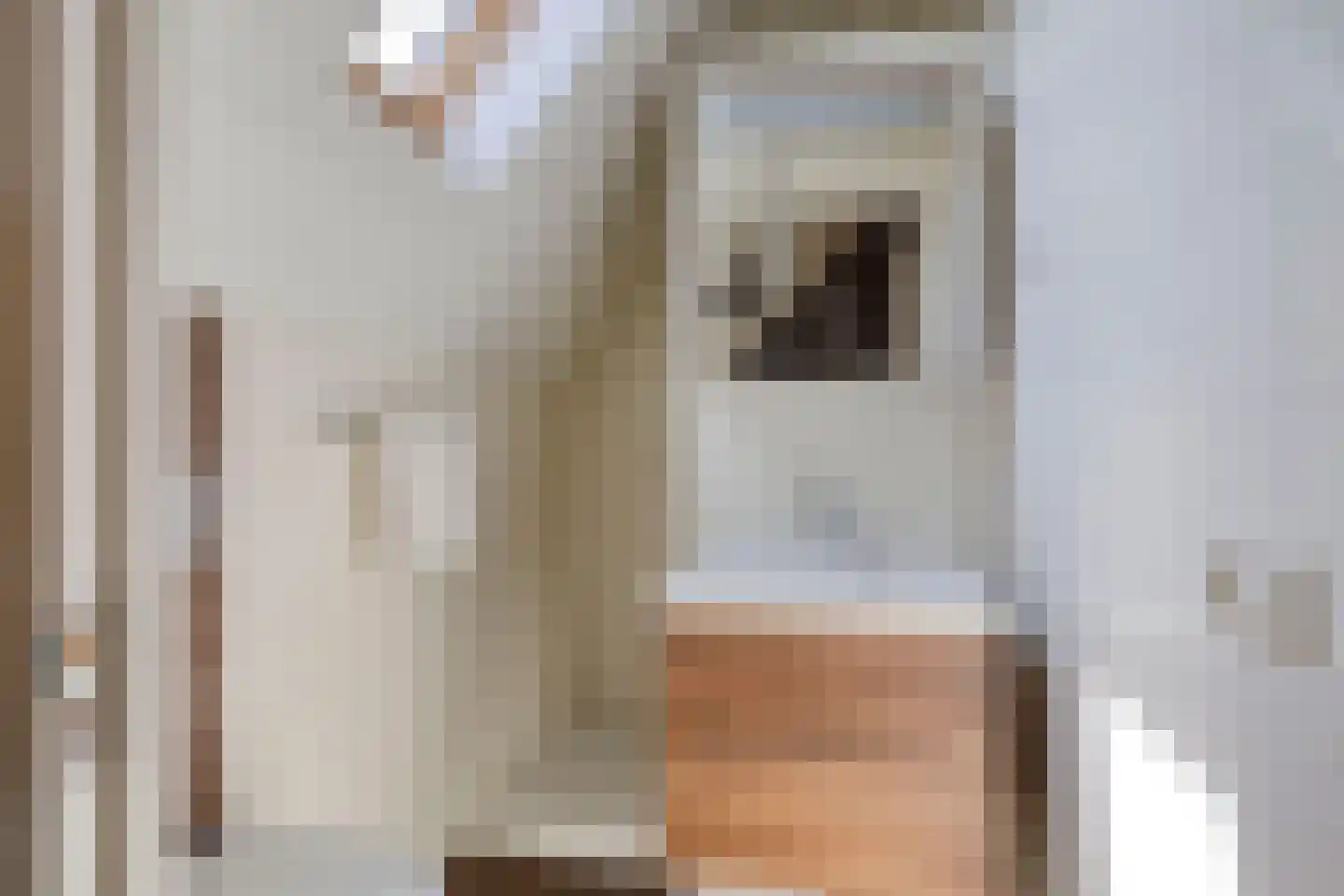 Hoge Zijdeweg 35 Vlierden thumbnail 46
