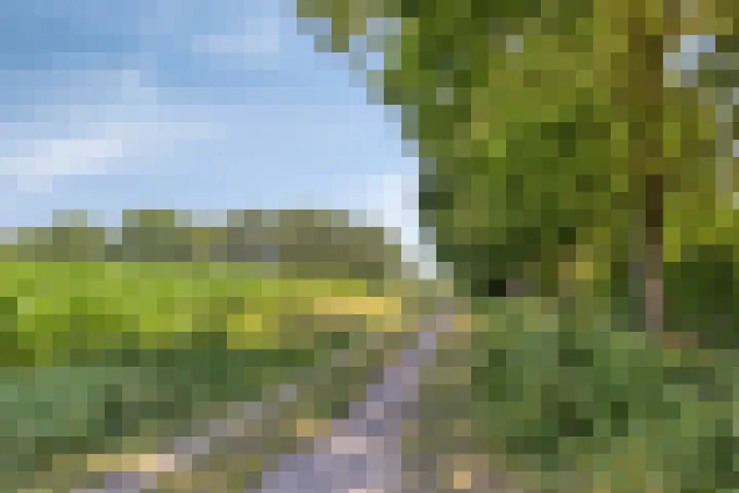 Hoge Zijdeweg 35 Vlierden thumbnail 60