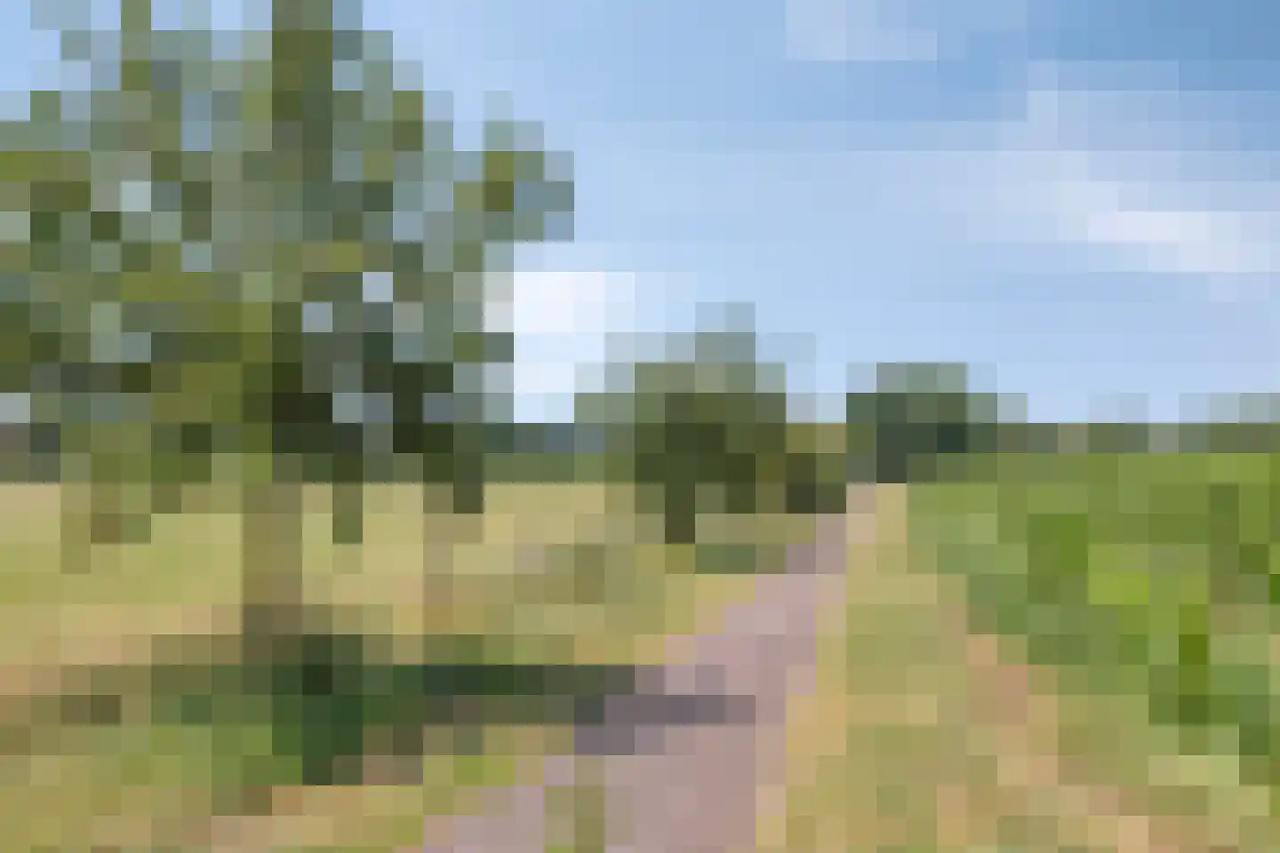 Hoge Zijdeweg 35 Vlierden thumbnail 61