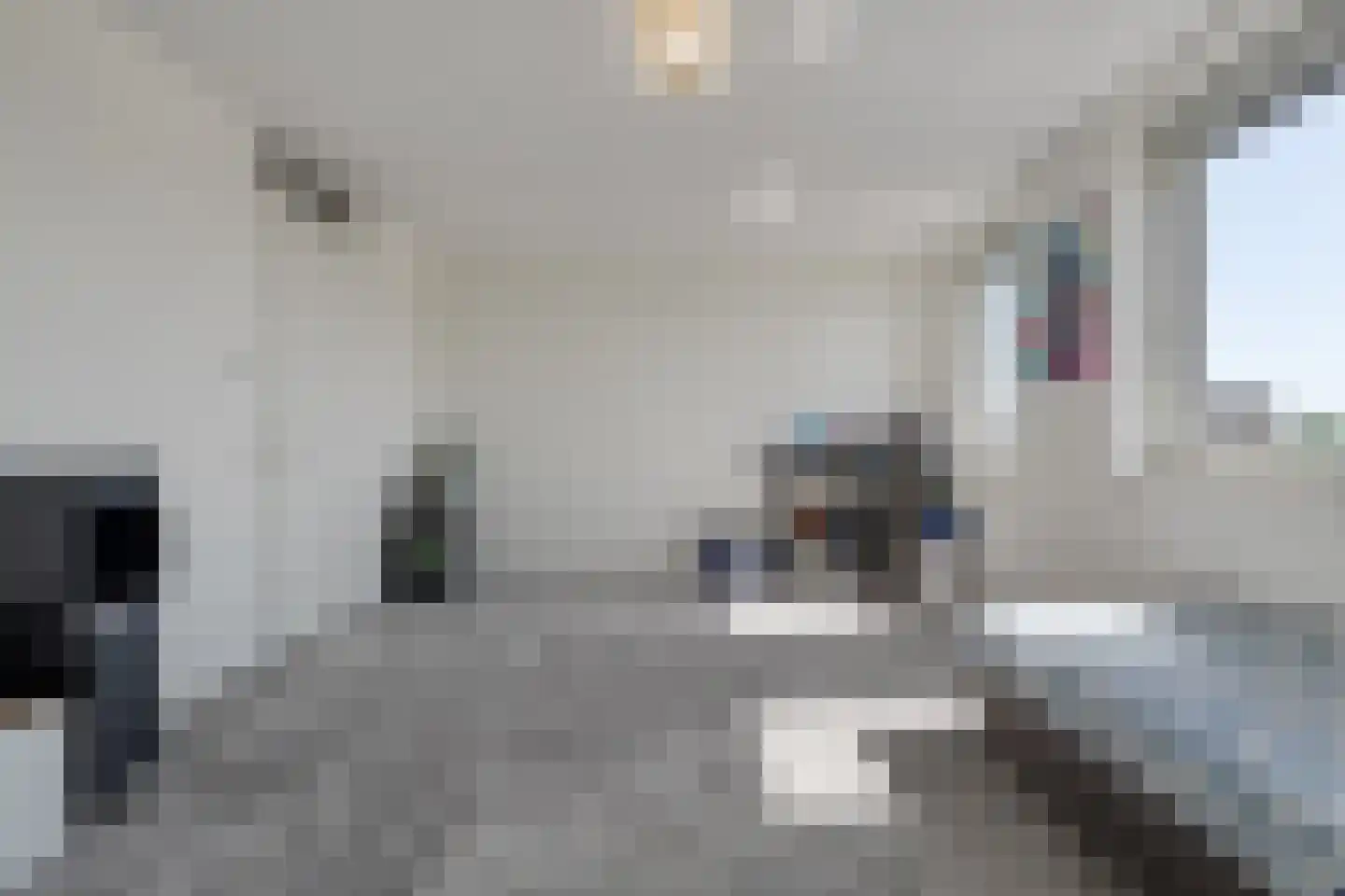 Hogebeenpad 9 Zwolle thumbnail 40