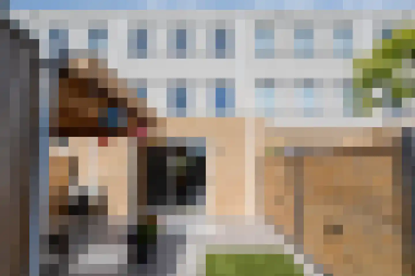 Hogebeenpad 9 Zwolle thumbnail 46