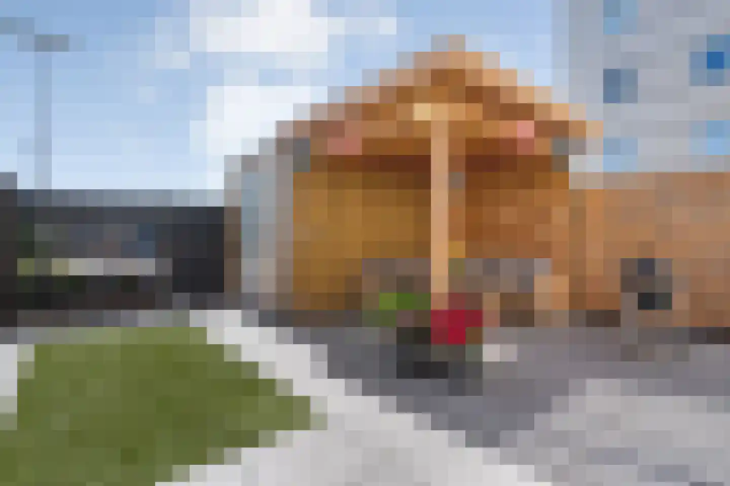 Hogebeenpad 9 Zwolle thumbnail 48