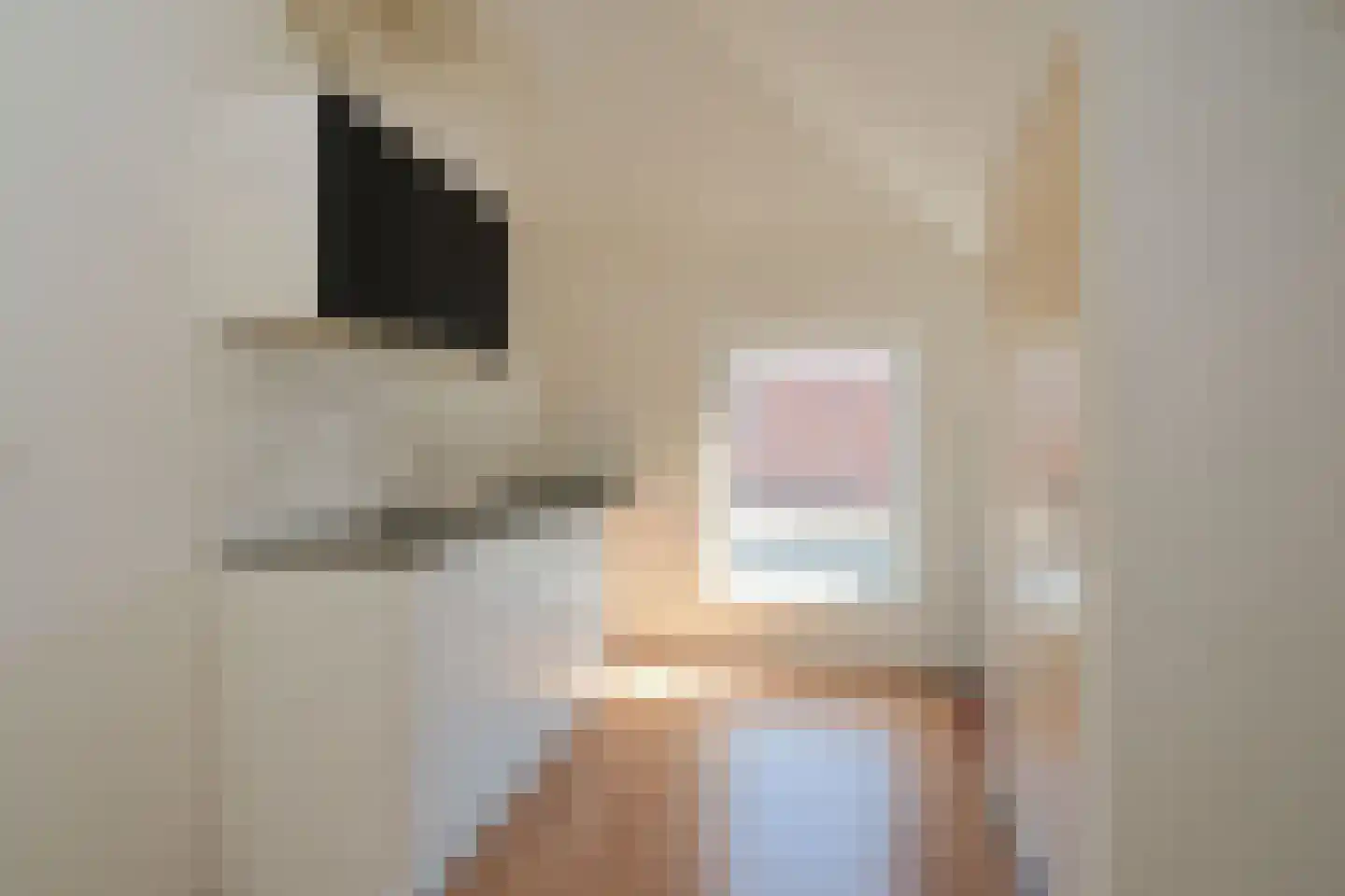 Hogebeldsweg 12 Almelo thumbnail 10