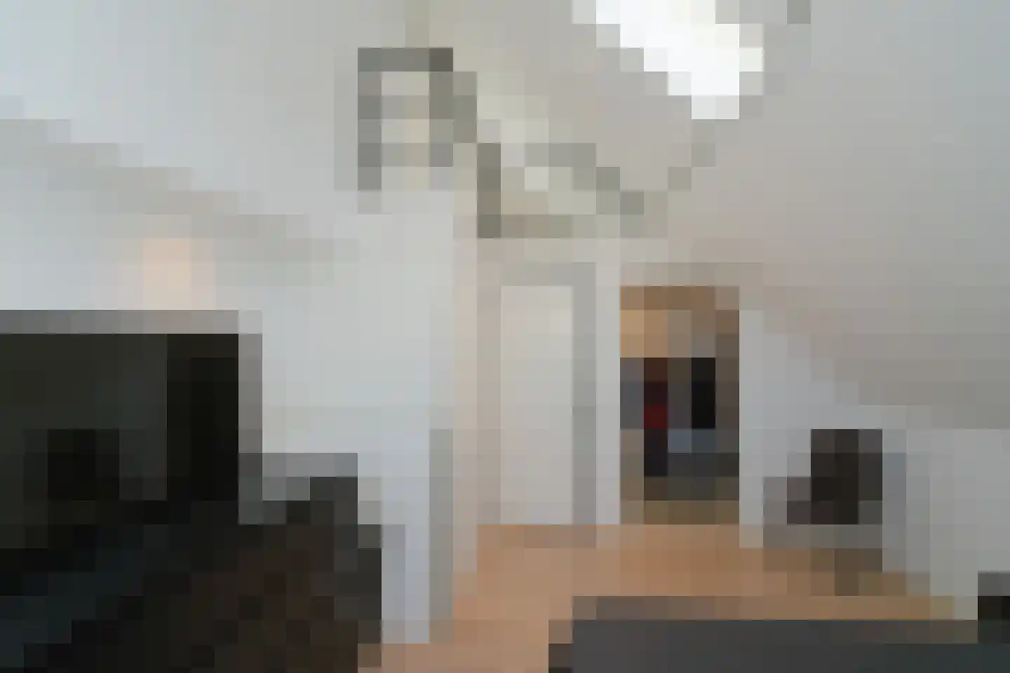 Hogebeldsweg 8 Almelo thumbnail 17