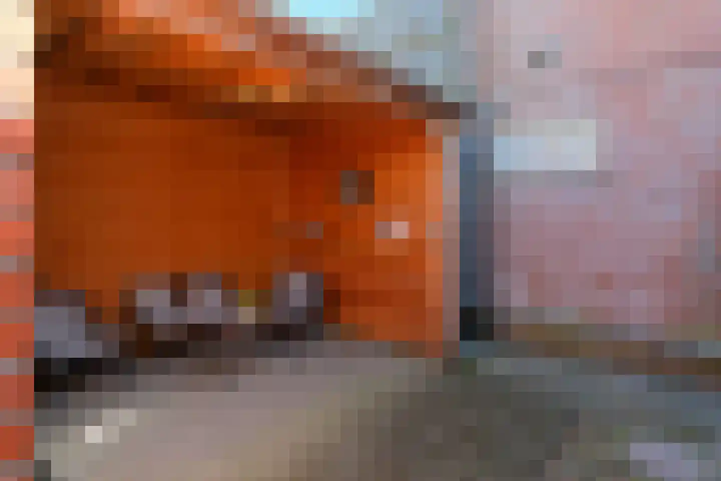 Hogebeldsweg 8 Almelo thumbnail 24