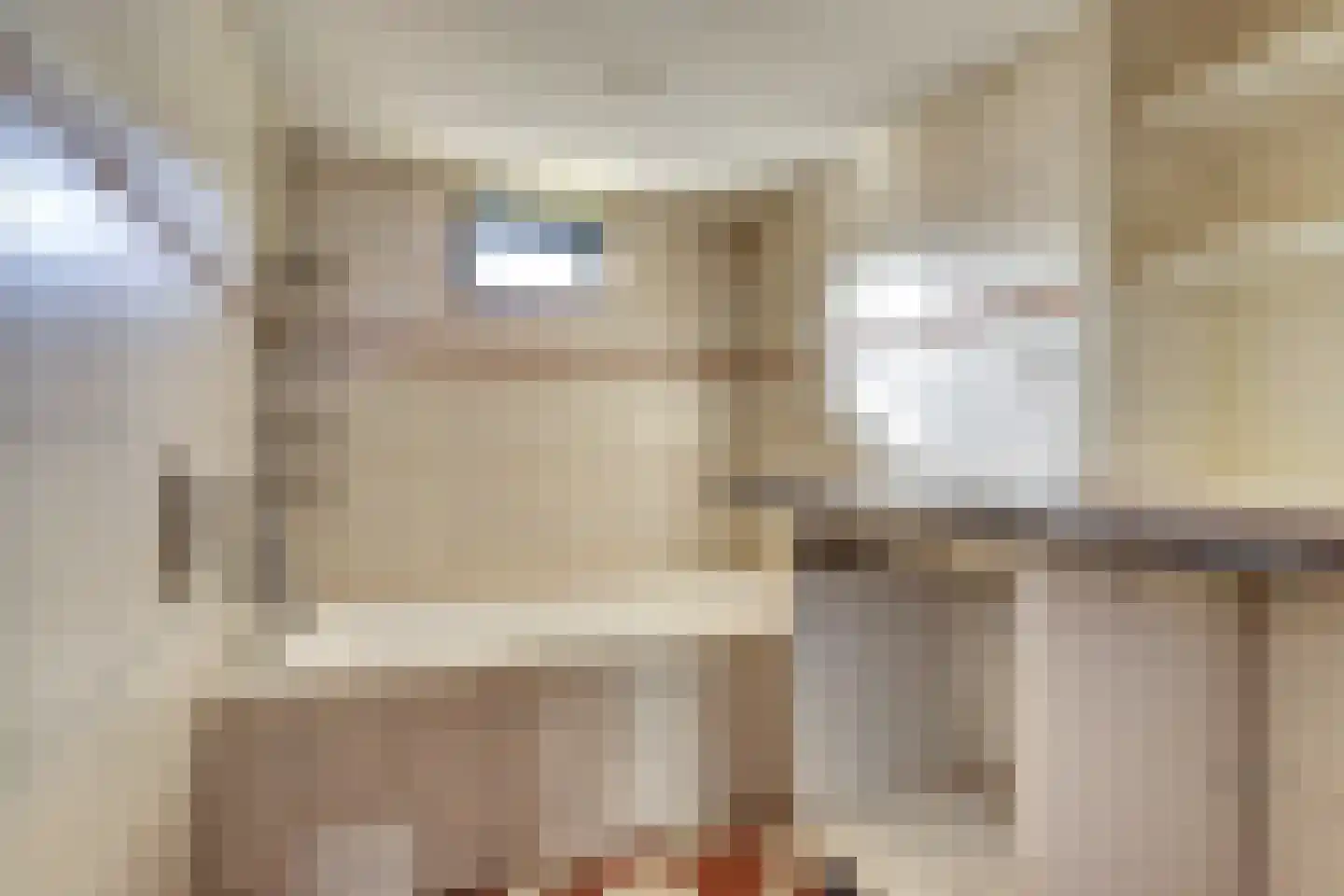 Hogebergdreef 20 Putte thumbnail 15