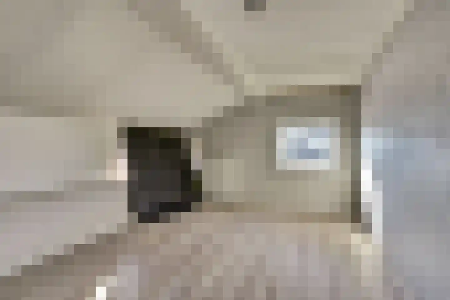Hogebergdreef 20 Putte thumbnail 19