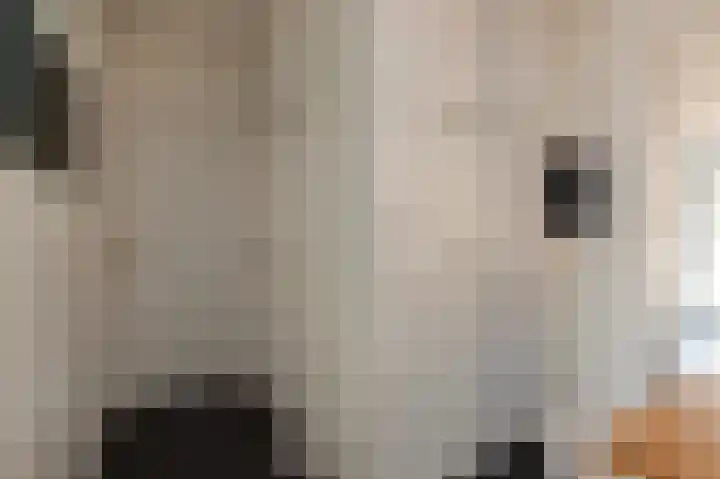 Hogebergdreef 49 Putte thumbnail 16