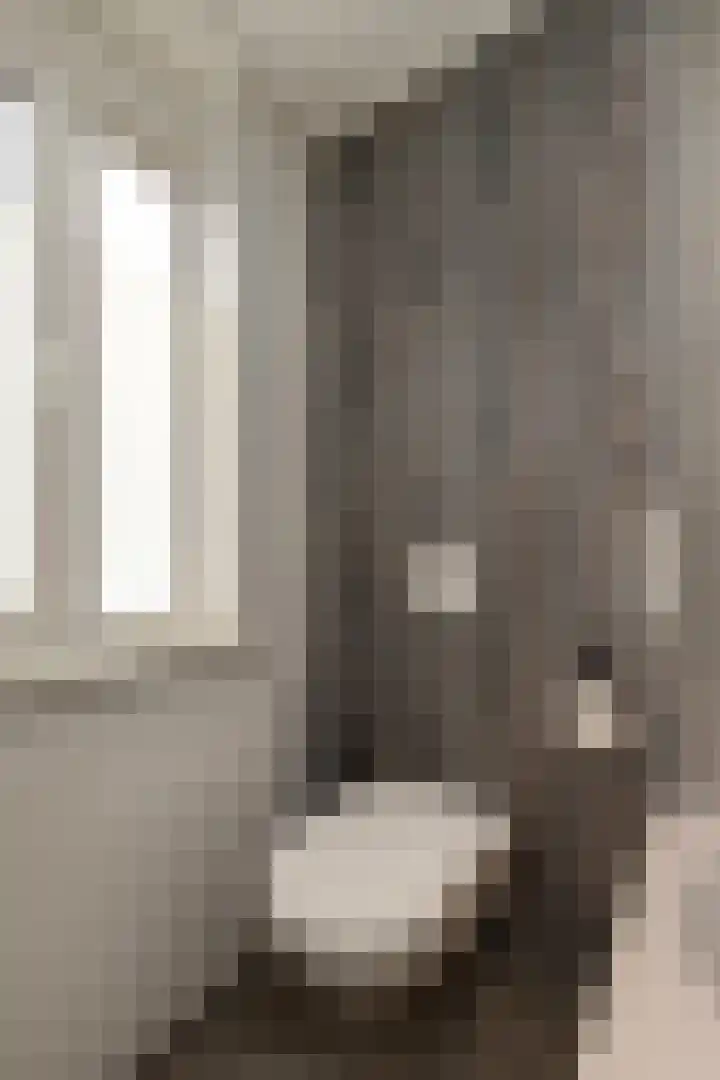 Hogebergdreef 49 Putte thumbnail 24