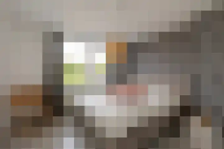 Hogebergdreef 49 Putte thumbnail 27