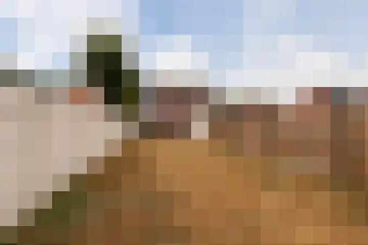 Hogebergdreef 49 Putte thumbnail 37