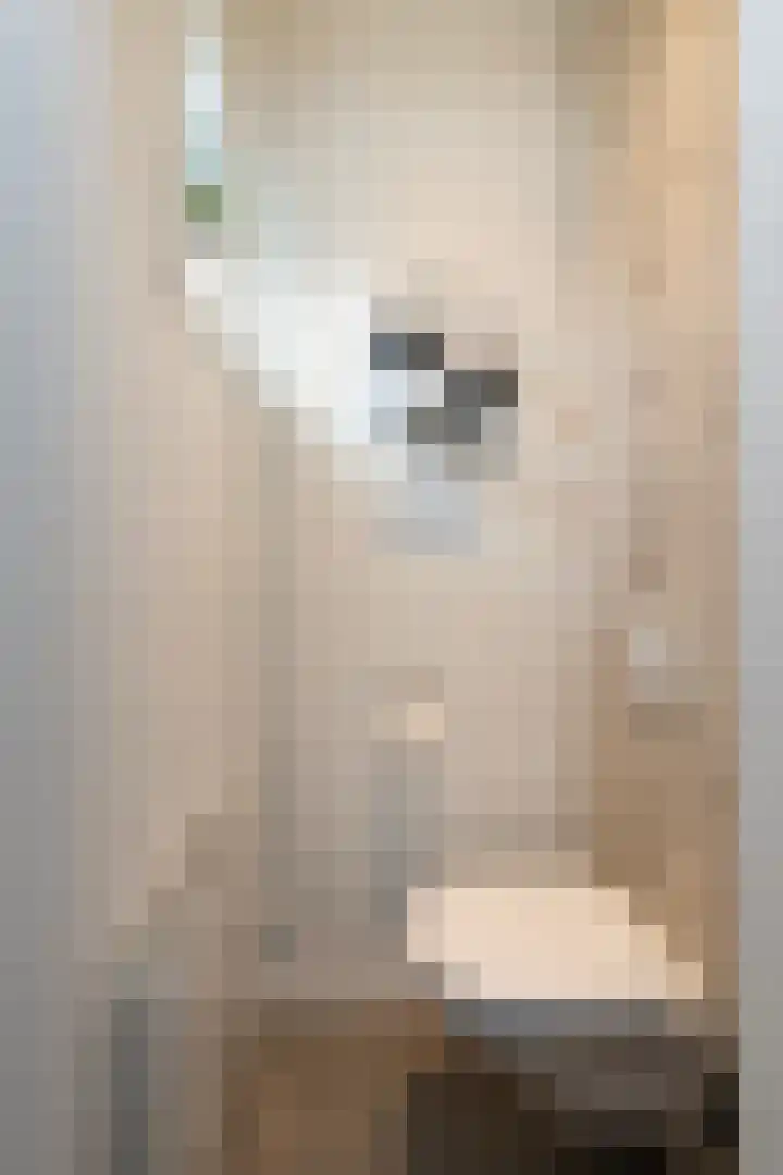 Hogebergdreef 49 Putte thumbnail 6